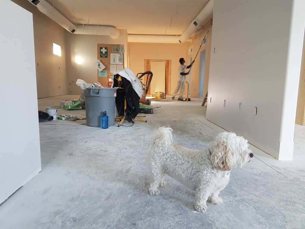 start a construction project