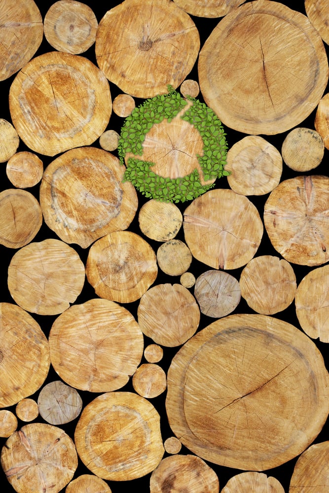 2025 Commercial Construction Trends You Need to Know commercial construction trends sustainability